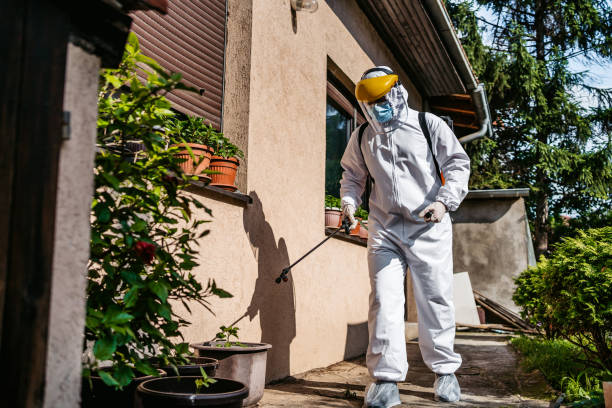 Best Mosquito Control Services  in Desoto, TX