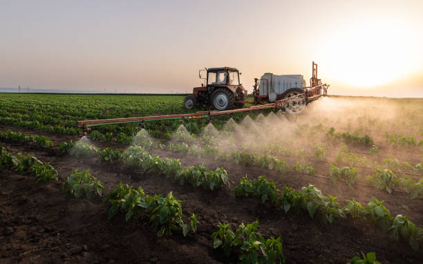 Best Insect Control  in Desoto, TX
