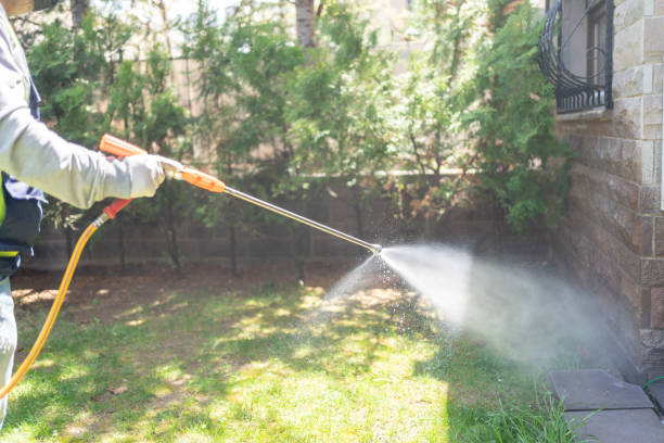 Best Cockroach Control Services  in Desoto, TX